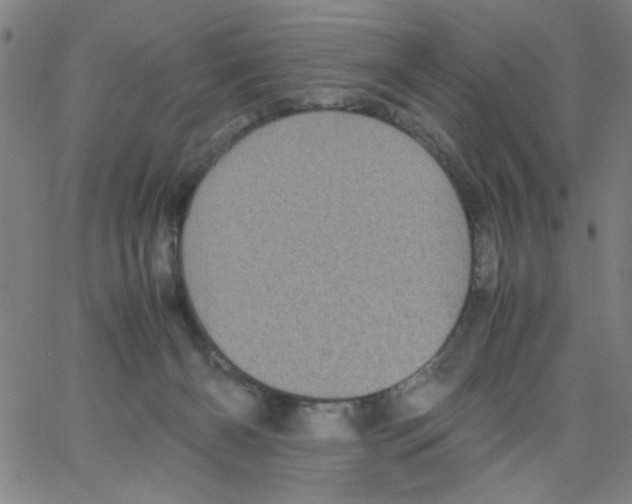 X0000066100126200604071832