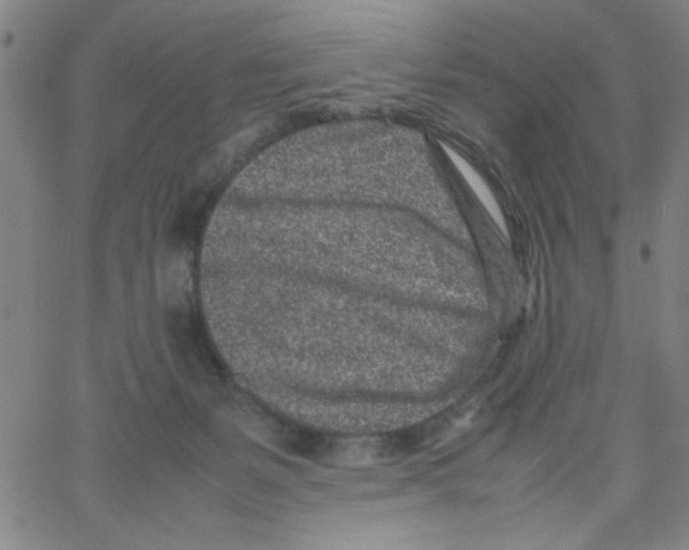 X0000066100127200604071832