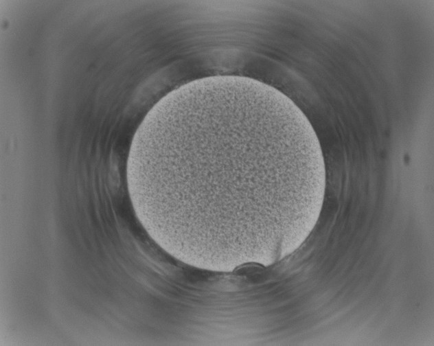 X0000066100128200604071832