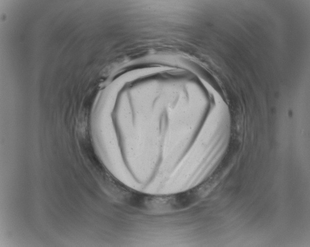 X0000066100129200604071832