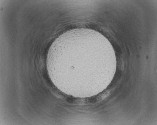 X0000066100131200604071832