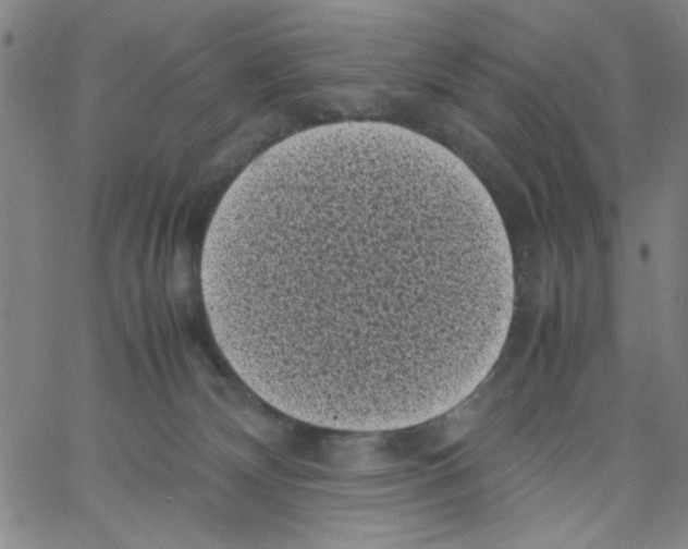 X0000066100132200604071832