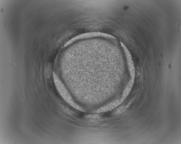 X0000066100133200604071832