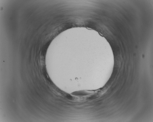 X0000066100135200604071832