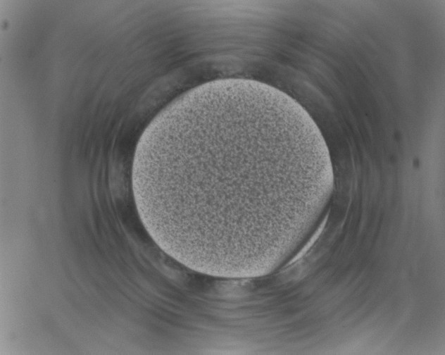 X0000066100136200604071832