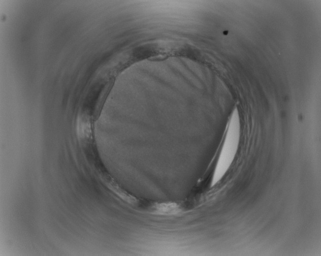 X0000066100137200604071832