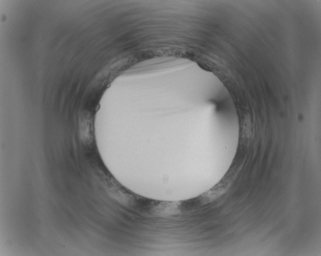 X0000066100138200604071832