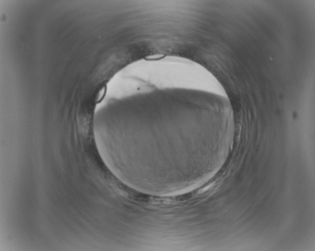 X0000066100139200604071832