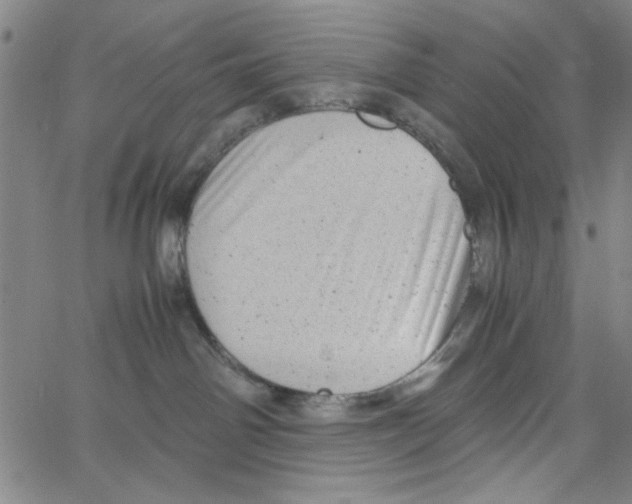 X0000066100142200604071831