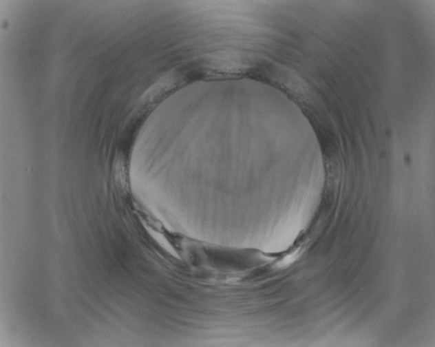 X0000066100143200604071831