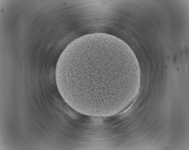 X0000066100144200604071831