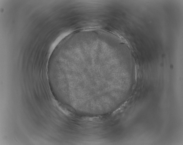 X0000066100147200604071831