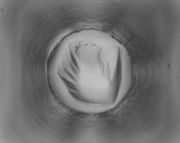 X0000066100148200604071831