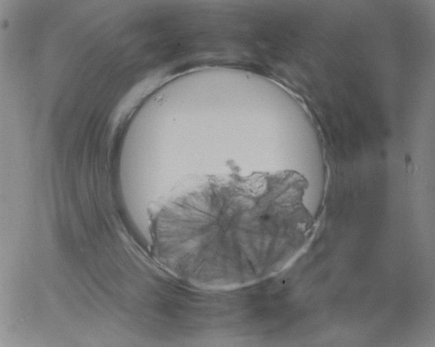 X0000066100149200604071831