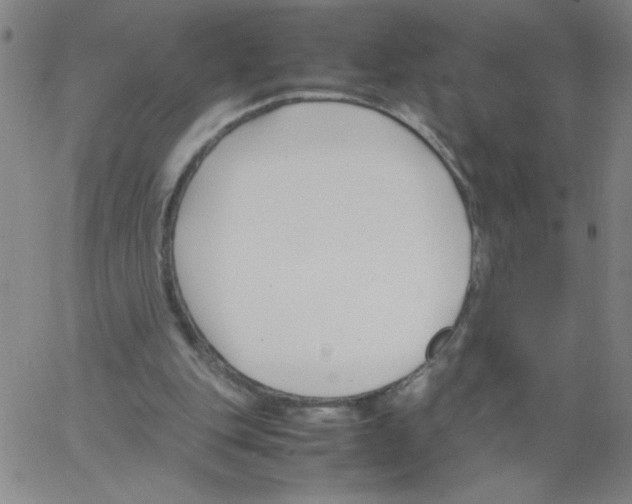 X0000066100151200604071831