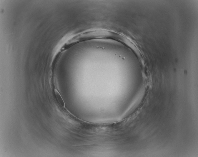 X0000066100152200604071831