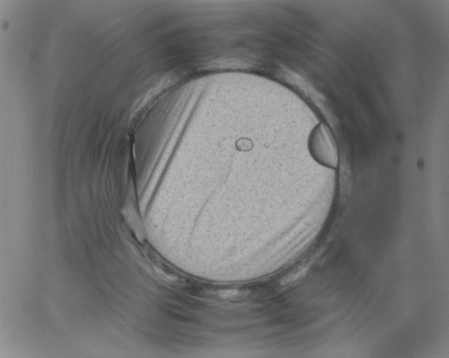 X0000066100153200604071831