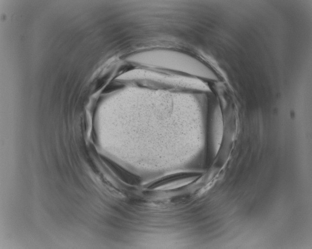 X0000066100154200604071831