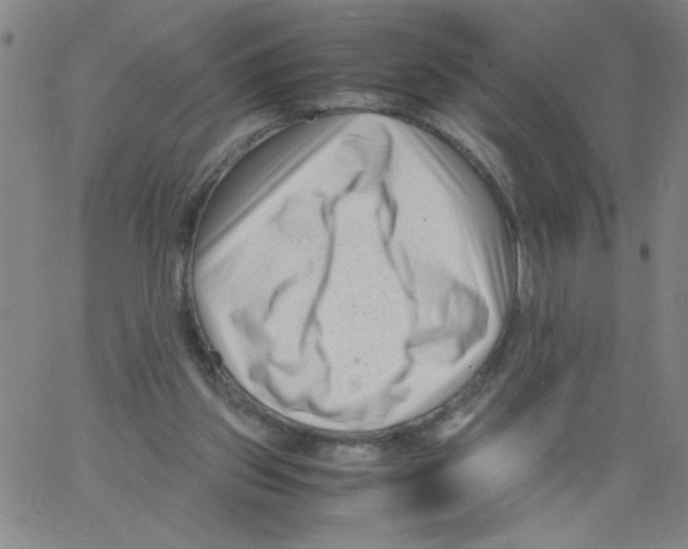 X0000066100157200604071831