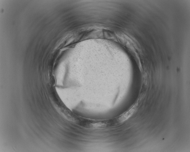 X0000066100158200604071831