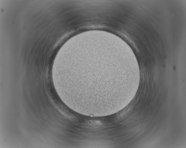 X0000066100159200604071831