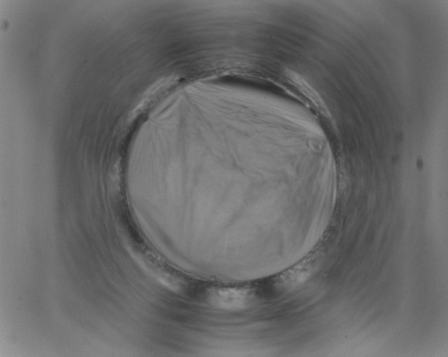 X0000066100163200604071831