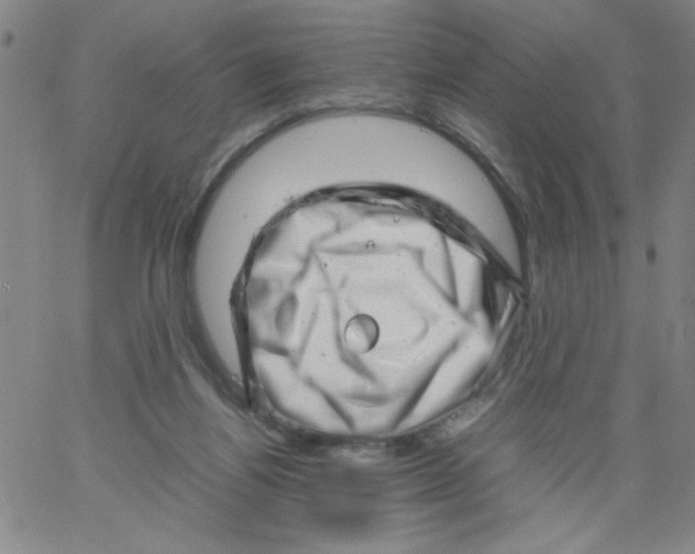 X0000066100164200604071831