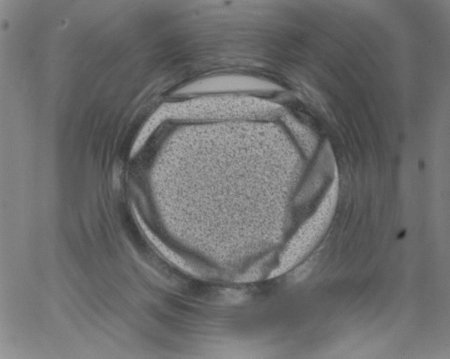 X0000066100166200604071831