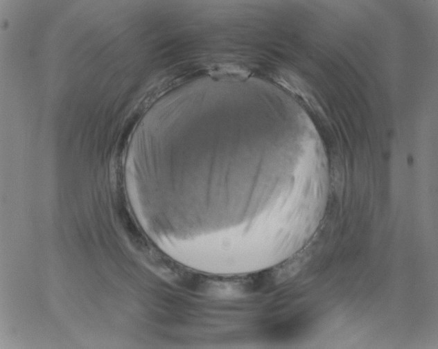 X0000066100167200604071831