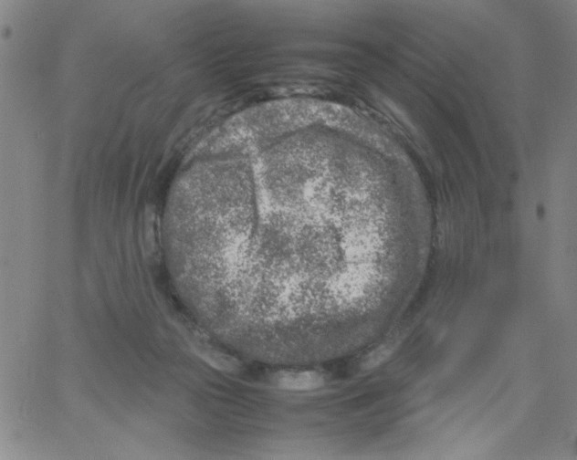 X0000066100169200604071831