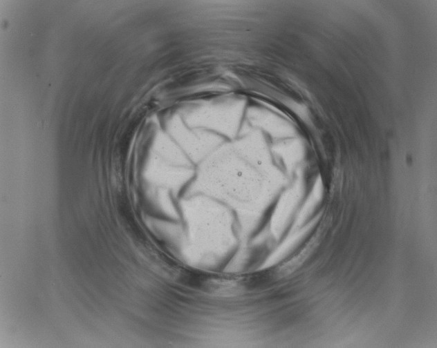 X0000066100170200604071831