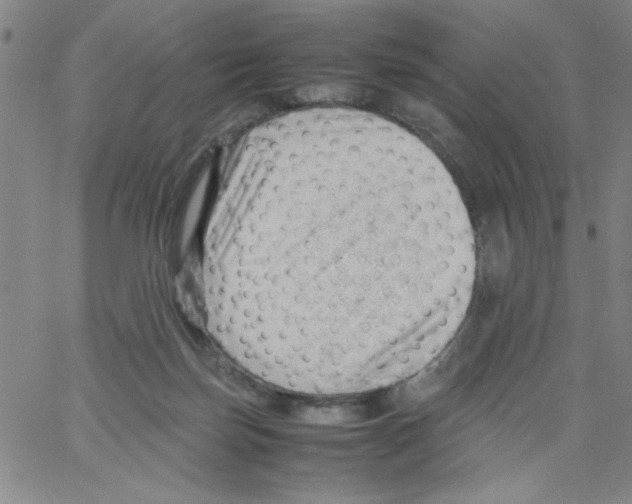 X0000066100171200604071831