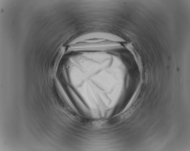 X0000066100172200604071831