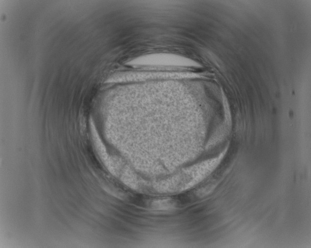 X0000066100173200604071831