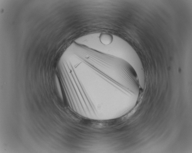 X0000066100174200604071831