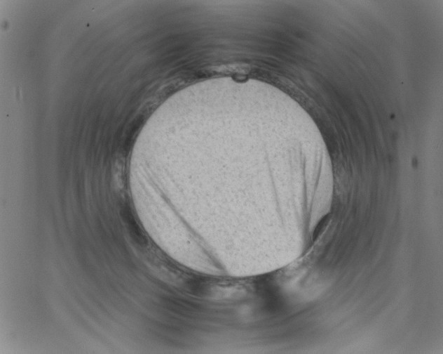 X0000066100175200604071831