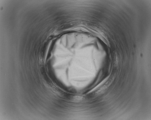 X0000066100176200604071831