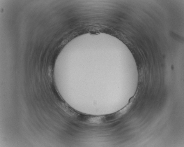 X0000066100178200604071831