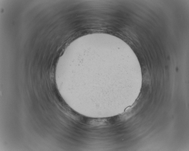 X0000066100179200604071831