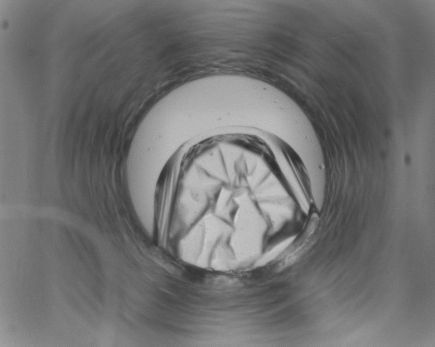 X0000066100180200604071831