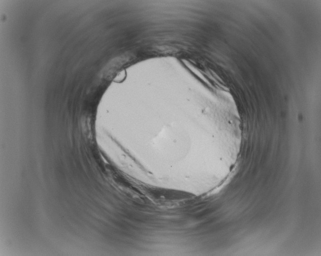 X0000066100182200604071831