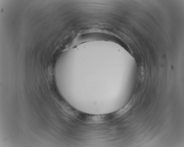 X0000066100184200604071831