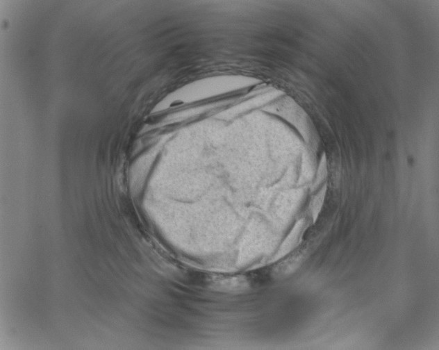 X0000066100185200604071831