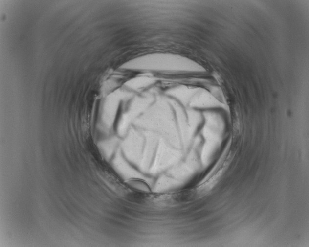 X0000066100186200604071831