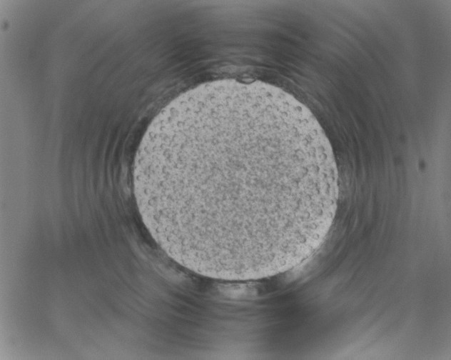 X0000066100187200604071831