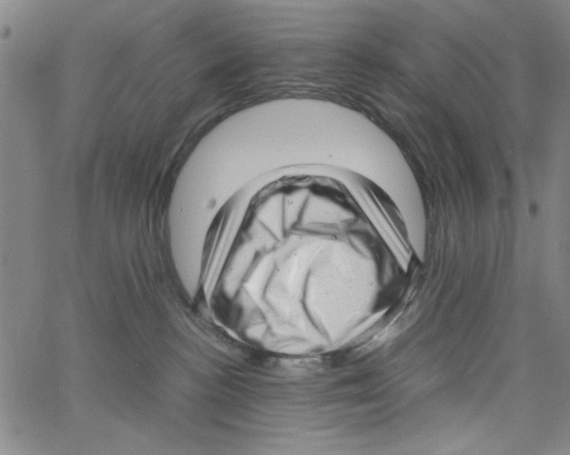 X0000066100188200604071831