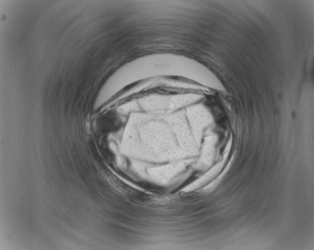 X0000066100190200604071831