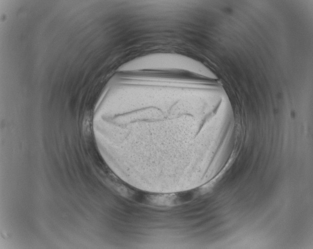 X0000066100191200604071831