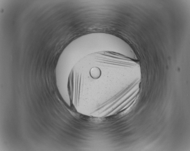 X0000066100192200604071831