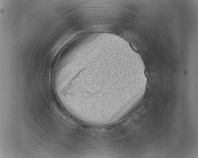 X0000066100194200604071831